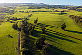 Aerial view of cattle pasture grassland, Upolu Pt, Hawi, North Kohala, Hawaii Island, Hawaii, United States.