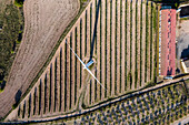 Aerial view of many wind turbines in a wind farm in countryside, La Muela, Zaragoza, Spain.
