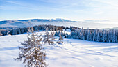 Aerial view of snowy alpine mountains and tranquil pastures with trees, Graz, Austria.