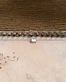 Aerial view of a camper van parking in a parking lot in Obidos near the agricultural fields, Portugal.