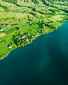 Aerial view of residential houses along Lake Lucerne at sunset, from Kussnacht am Rigi, Schwyz, Switzerland.
