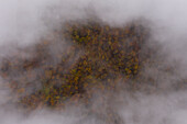 Aerial view of a tranquil and picturesque dense forest with autumn colors and mystical clouds, Chortiatis, Greece.