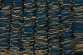Aerial view of industrial stacks of lumber and wood at the Port of Kalama, Kalama, Washington, United States.