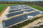 Aerial view of livestock farms covered with solar panels, Galilee Panhandle, Israel.