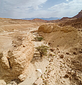 Panoramablick aus der Vogelperspektive auf einen Pfad in einer felsigen Wüstenlandschaft, Mizpe Ramon, Negev, Israel.