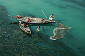 Bangladesh - 03 February 2021: Aerial view of fishermen in traditional boats casting nets on the Jamuna River with vibrant algae and lush marshland, Ullapara, Bangladesh.