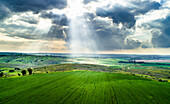 Aerial view of sunbeam over a green wheat field, Ruhama Badlands, Israel.