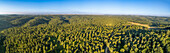 Panoramic aerial view of a pine forest, Yatir, Israel.