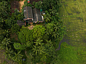 Aerial view of Hotel and fields close to Mathugama, Sri Lanka.