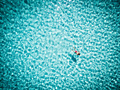 Aerial view of woman in bikini swimming in transparent turquoise tropical sea water