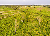 Luftaufnahme des Hochmoor-Naturschutzgebiets Aamsveen (niederländisch) / Amtsvenn (deutsch) an der Grenze zwischen den Niederlanden (links) und Deutschland (rechts)