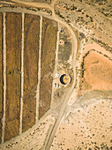 Aerial view of Aloe-vera plantation in Fuerteventura, Canary Islands.