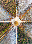 Aerial view of circle park with walking paths leading to oak tree De Eenzame Eik during frost in autumn, Sterrenbos, Amerongse Berg, Utrechtse Heuvelrug, Utrecht, Netherlands.