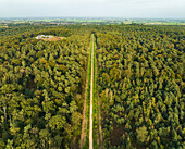 Aerial view of mixed forest Landgoed Huis Bergh with motte hill, Zeddam, Montferland, Gelderland, Netherlands.