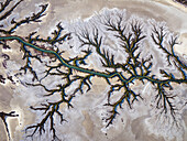 Aerial view of branching river delta in Accident Inlet, Gulf of Carpentaria, Karumba, Australia.