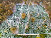 Aerial view of open field with frost in forest during winter, Amerongse Berg, national park Utrechtse Heuvelrug, Utrecht, Netherlands.