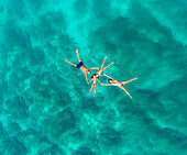 Luftaufnahme einer 4-köpfigen Familie beim Schwimmen im türkisfarbenen Meer der Adria, Sutivan, Kroatien.
