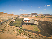 FUERTEVENTURA, CANARY ISLANDS - 18 February 2018 : Aerial view of Aloe-vera plantation in Fuerteventura, Canary Islands.