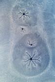 Abstract aerial view of thin layer of ice with cracks and some snow on a small lake after a night of frost, embedded like in a matryoshka, Twente, Overijssel, Netherlands