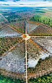 Aerial view of circle park with 8 walking paths leading to oak tree "De Eenzame Eik" during frost in autumn, Sterrenbos, Amerongse Berg, Utrechtse Heuvelrug, Utrecht, Netherlands.