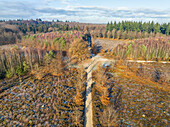 Aerial view of walking paths in nature area during frost in autumn, Sterrenbos, Amerongse Berg, Utrechtse Heuvelrug, Utrecht, Netherlands.