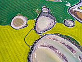 Luftaufnahme von Rapsfeldern in der Umgebung des Lake Biddy, Westaustralien, Australien.