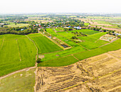 Luftaufnahme von Ackerland mit bewässerten Reisfeldern und Dorf, Phra Non, Nakhon Luang, Provinz Ayutthaya, Thailand