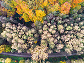Abstract aerial view of curved railway and forest in autumn colours on hills, Bocketal, Teutoburger Wald, Nordrhein-Westfalen, Germany