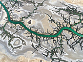 Aerial view of meandering green river in desert with sand and branches, Accident Inlet, Gulf of Carpentaria, Karumba, Australia.