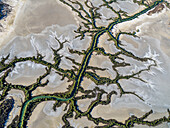 Aerial view of meandering river delta in Accident Inlet, Gulf of Carpentaria, Karumba, Queensland, Australia.