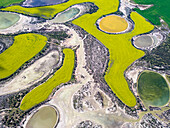 Luftaufnahme von farbenfrohen Rapsfeldern und Gewässern in Lake Biddy, Westaustralien, Australien.