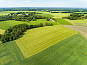 Luftaufnahme einer Landschaft mit gemähtem Gras auf Wiesen und Gerstenfeld in hügeliger Landschaft, Nutter, Ootmarsum, Twente, Overijssel, Niederlande