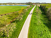 Aerial view of road with fruit trees and bikers, Rumpt, Betuwe, Gelderland, Netherlands.