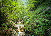 Aerial view of small waterfall surrounded by a lot of vegetation in Soca river.