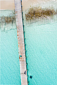 Aerial view of a jetty with children watching a black stingray, Vashafaru, Haa Alif Atoll, Maldives.
