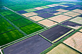 Luftaufnahme von schönen landwirtschaftlichen Feldern mit Mustern und Strukturen auf dem Lande, Region Krasnodar, Russland