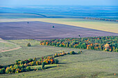 Luftaufnahme von weitläufigen grünen Feldern und ruhigen Bäumen unter einem heiteren Himmel, Republik Tatarstan, Russland.