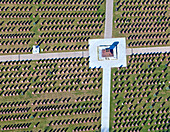 Aerial view of serene cemetery with organized gravestones and tranquil pathways, Moscow, Russia.