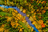 Aerial view of the river Elbe in the mixed autumn forest, neighbouring a path near Kuks, Czech Republic.