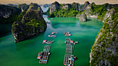 Aerial view of Vung Vieng Fishing Village and turquoise water with karst mountains and cliffs, Ha Long Bay, Vietnam.