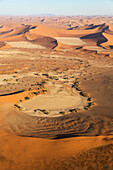 Luftaufnahme von Sanddünen in der Namib-Wüste. Die Kameldornbäume (Acacia erioloba) wachsen entlang des trockenen Flussbettes des Tsauchab-Flusses. Am Abend, Namib-Naukluft-Nationalpark, Namibia.