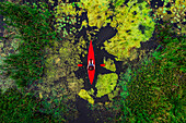 Aerial view of travel person paddling in wild river with red kayak, shot in Labanoras, Lithuania.