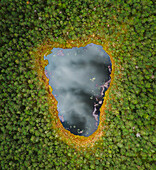 Aerial view of tiny ice age lake in the middle of woods near Moletai, Lithuania. Top down view with beautiful sky reflection on water surface.