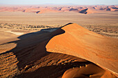 Luftaufnahme von Sanddünen in der Namib-Wüste. Die Kameldornbäume (Acacia erioloba) wachsen entlang des trockenen Flussbettes des Tsauchab-Flusses. Am Abend, Namib-Naukluft-Nationalpark, Namibia.