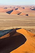 Luftaufnahme von Sanddünen in der Namib-Wüste. Die Kameldornbäume (Acacia erioloba) wachsen entlang des trockenen Flussbettes des Tsauchab-Flusses. Am Abend, Namib-Naukluft-Nationalpark, Namibia.