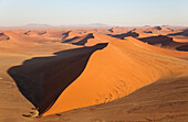 Luftaufnahme von Sanddünen in der Namib-Wüste. Die Kameldornbäume (Acacia erioloba) wachsen entlang des trockenen Flussbettes des Tsauchab-Flusses. Am Abend, Namib-Naukluft-Nationalpark, Namibia.