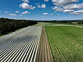 Aerial view of asparagus harvest at Oderbruch, Brandenburg, Germany.