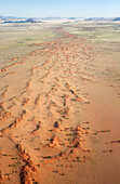 Luftaufnahme der Wüste während der Regenzeit aus einem Heißluftballon am Rande der Namib-Wüste. NamibRand Naturreservat, Namibia.
