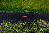Aerial view of travel person paddling in wild river with red kayak, shot in Labanoras, Lithuania.