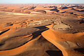 Luftaufnahme von Sanddünen in der Namib-Wüste. Die Kameldornbäume (Acacia erioloba) wachsen entlang des trockenen Flussbettes des Tsauchab-Flusses. Am Abend, Namib-Naukluft-Nationalpark, Namibia.